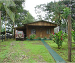 Renovation